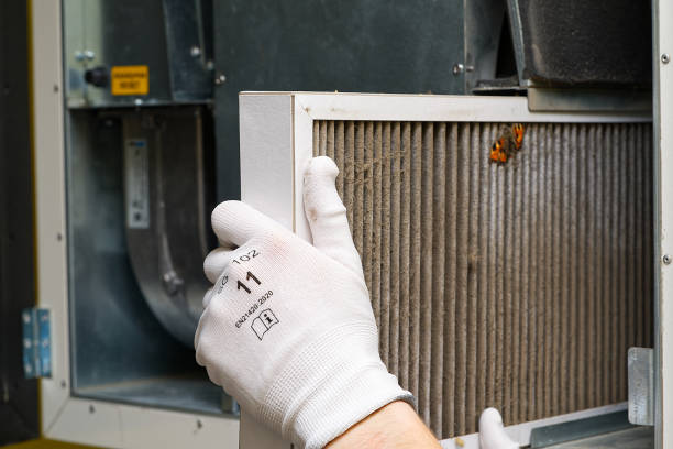 Best Air Quality Test  in Ten Mile Run, NJ